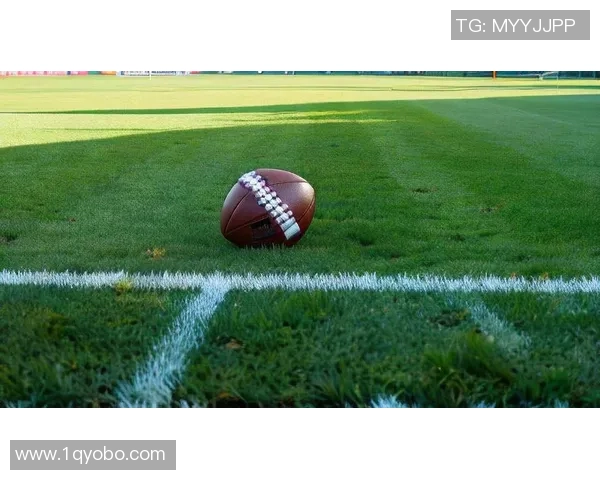 足球起义：激情与梦想交织的绿茵场上演绎的传奇与奋斗故事